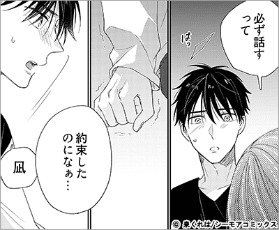 義兄弟以上、恋人未満。 11巻