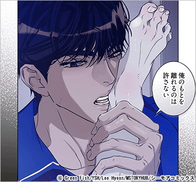 穏やかな執着(フルカラー) 18巻