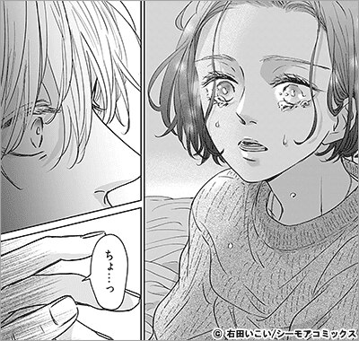 とって食ったりしねぇから～元ヤンくんとの恋事情～ 12巻
