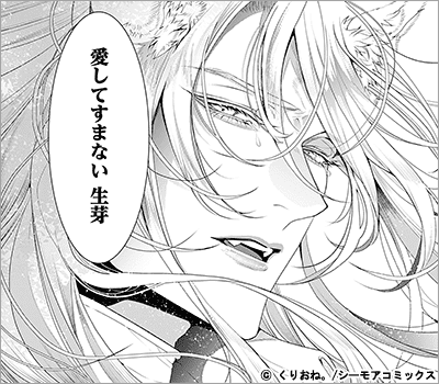嘘月姫の嫁入り～捨てられた私が狼神様に寵愛されるまで～ 13巻