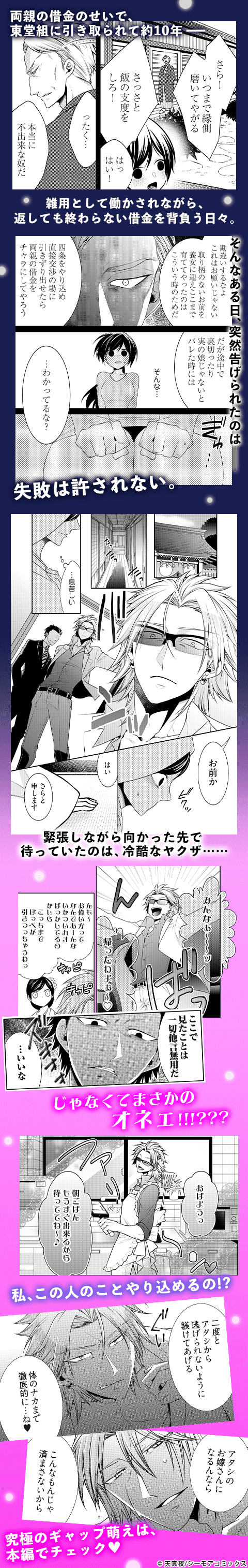 オネエ系ヤクザに毎晩溺愛されてます 65巻