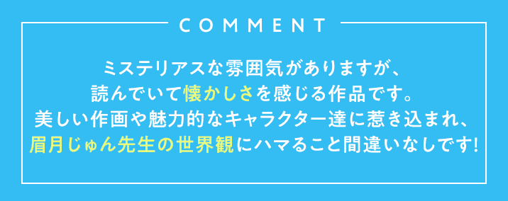 COMMENT