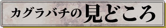 カグラバチの見どころ