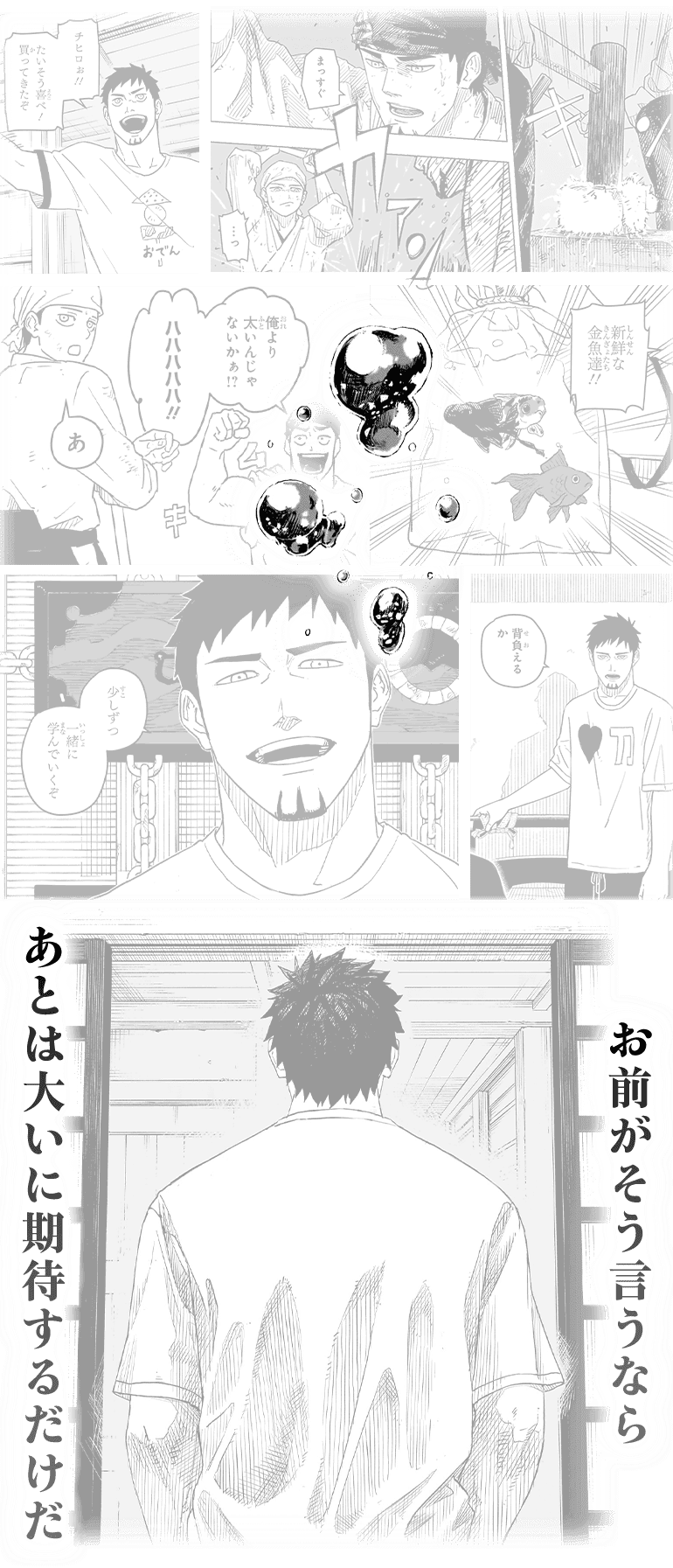 koma08