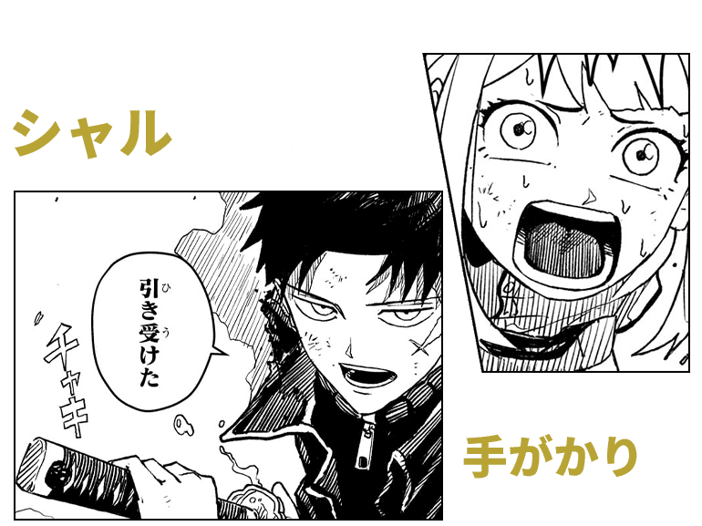 koma12