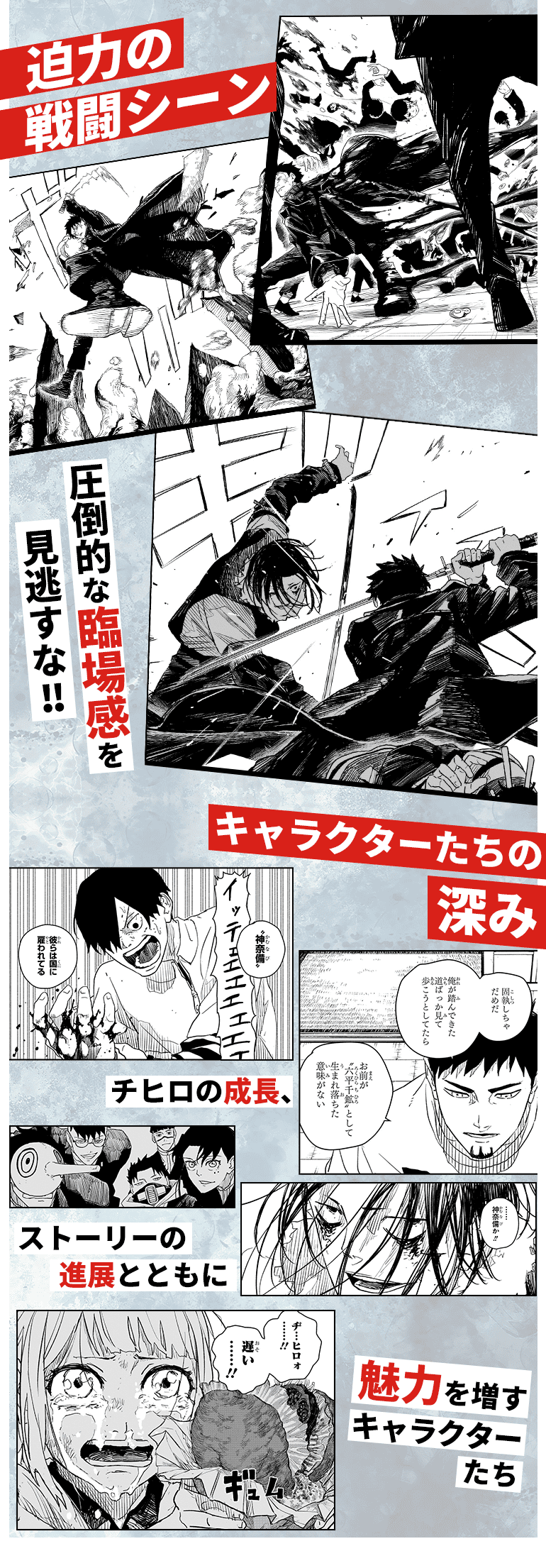 カグラバチの見どころ