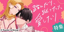 「踏んだり、蹴ったり、愛したり」特集