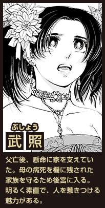 武照