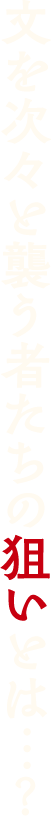 文を狙って次々と襲う者たちの狙いとは…