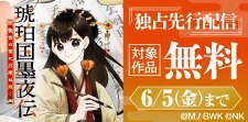 「琥珀国墨夜伝 後宮の宵に月華は輝く」配信記念フェア