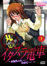 丸見えイタズラ電車～お兄ちゃん…やめて…～