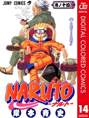 NARUTO―ナルト― カラー版 14