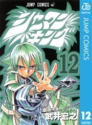 シャーマンキング 12