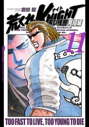荒くれKNIGHT 黒い残響完結編 11