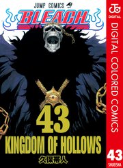 Bleach カラー版 45巻 無料試し読みなら漫画 マンガ 電子書籍のコミックシーモア
