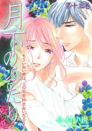 月下のふたり～もういない君は、この恋を許さないだろう～ 13巻