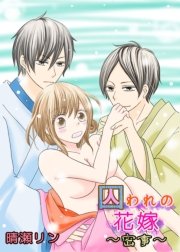 囚われの花嫁2～密事～