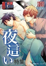 BL恋愛専科 29巻
