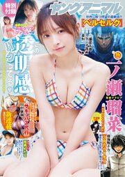 ヤングアニマル 最新号