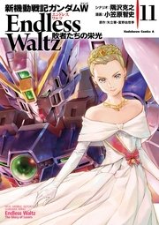 新機動戦記ガンダムW Endless Waltz 敗者たちの栄光(11)