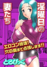 淫曜日の妻たち～エロコン修理！穴の奥まで点検します！！～