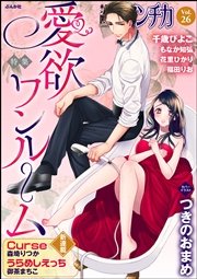 禁断Loversロマンチカ Vol.26～愛欲ワンルーム～