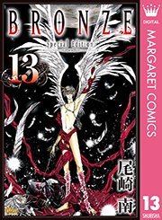 BRONZE -Special Edition- 13