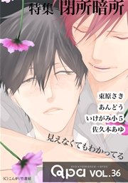Qpa vol.36  閉所暗所 見えなくてもわかってる