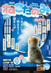 月刊ねこだのみ vol.11（2016年10月28日発売）