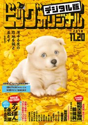 ビッグコミックオリジナル 2018年22号(2018年11月5日発売)