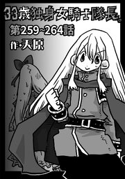 33歳独身女騎士隊長。