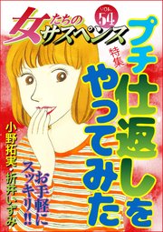 女たちのサスペンス vol.54 プチ仕返しをやってみた