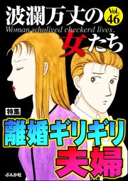 波瀾万丈の女たち Vol.46～離婚ギリギリ夫婦～