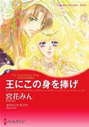 ハーレクイン 漫画家 宮花みんセット vol.2