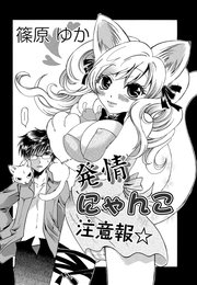 発情にゃんこ注意報