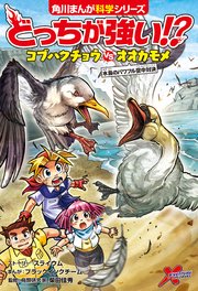 どっちが強い！？ コブハクチョウvsオオカモメ 水鳥のパワフル空中対決