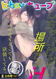 b-boyキューブ2017年2月号 特集「しちゃいけない場所でのH」