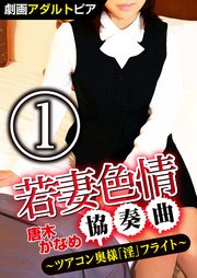 若妻色情協奏曲 (1) ツアコン奥様「淫」フライト