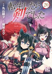 転生したら剣でした (20)