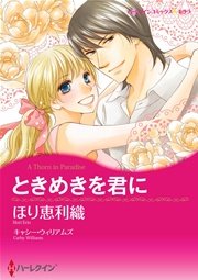 ハーレクイン 漫画家 ほり恵利織セットvol.1