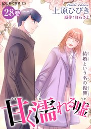 甘く濡れる嘘～結婚という名の復讐～ 28巻