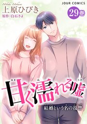 甘く濡れる嘘～結婚という名の復讐～