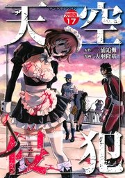 天空侵犯 分冊版（17）