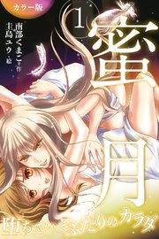 ［カラー版］蜜月～堕ちていくふたりのカラダ 1巻〈闇の一夜、戸惑いの二夜〉コミックノベル