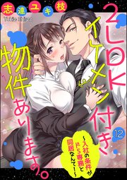 2LDKイケメン付き物件あります。～入社の条件がドS専務と同居なんて！～（分冊版） 【第12話】