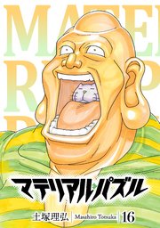 マテリアル・パズル（16）
