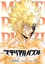 マテリアル・パズル（17）