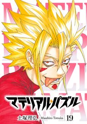 マテリアル・パズル（19）