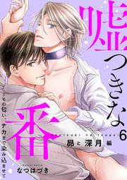 嘘つきな番～その匂い、ナカまで染み込ませて【昴と深月編6】