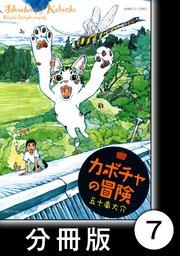 カボチャの冒険【分冊版】 名手